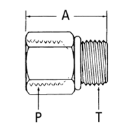 Adapter ORB-RDS-1/2xF.1/2NPTF-F